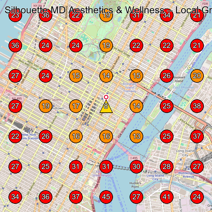 Silhouette MD Aesthetics & Wellness GeoGrid visibility map for Medical Spa in New York